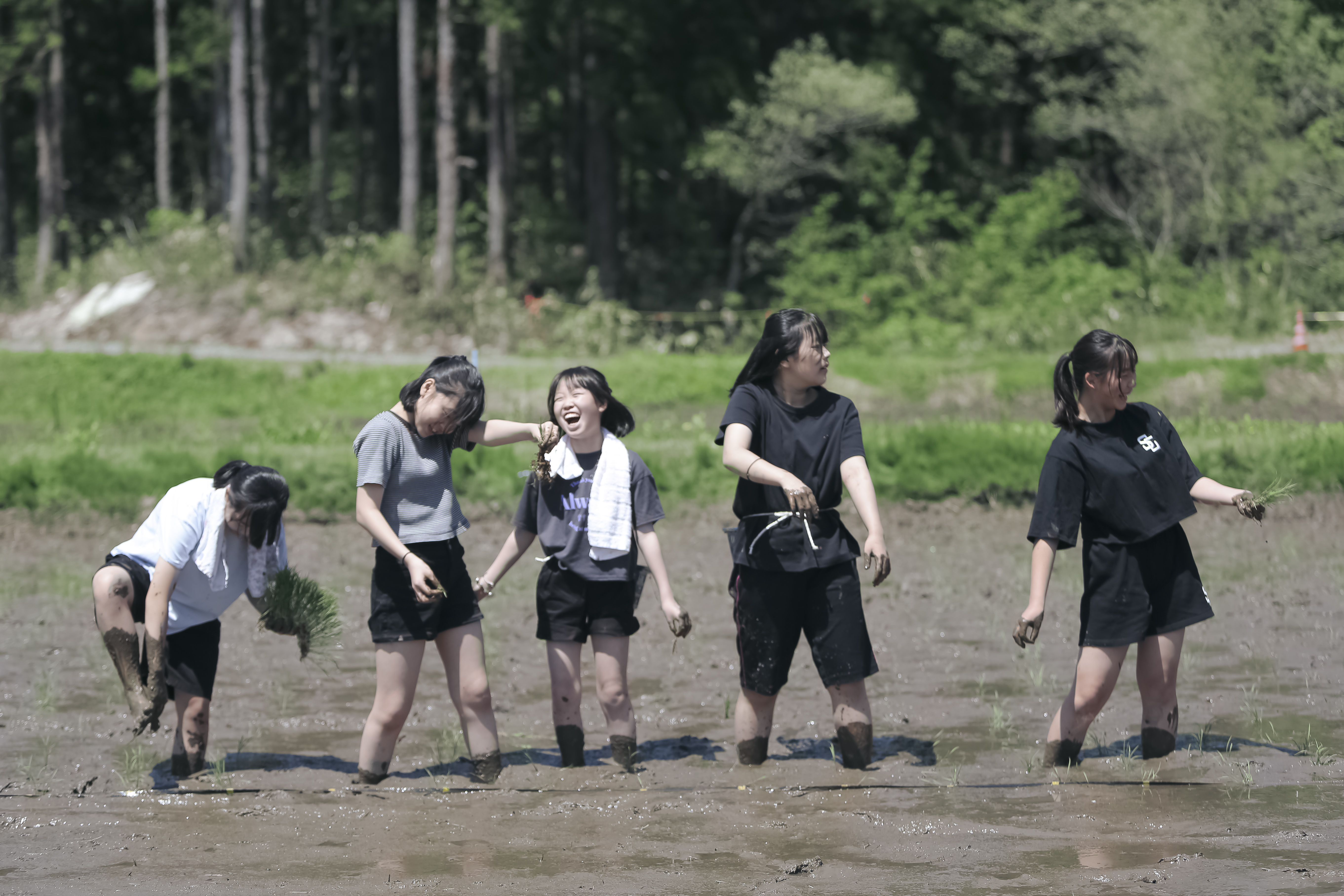 にいがたの「農村」を、\n教育と感動の舞台へ。
